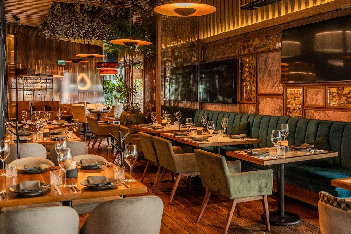 Porfirio's Masaryk — Mexican restaurant in Ciudad de México